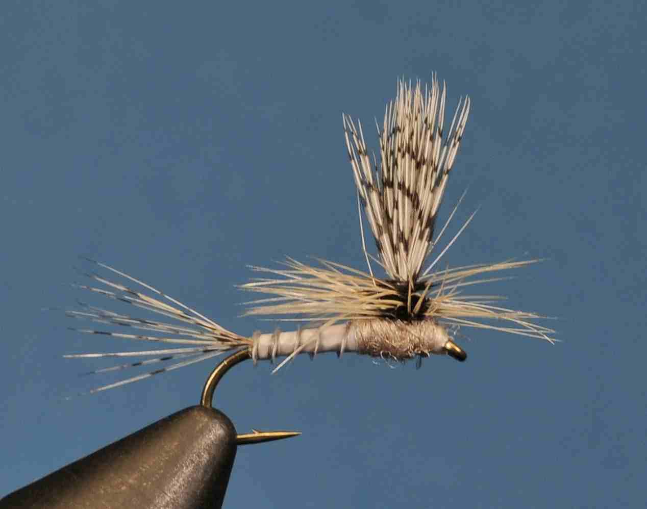 J21-11CWCU product image