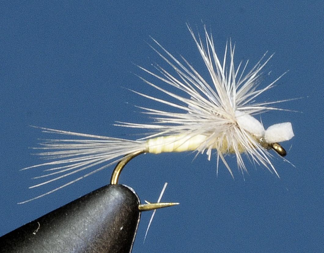 J21-11CWPH product image