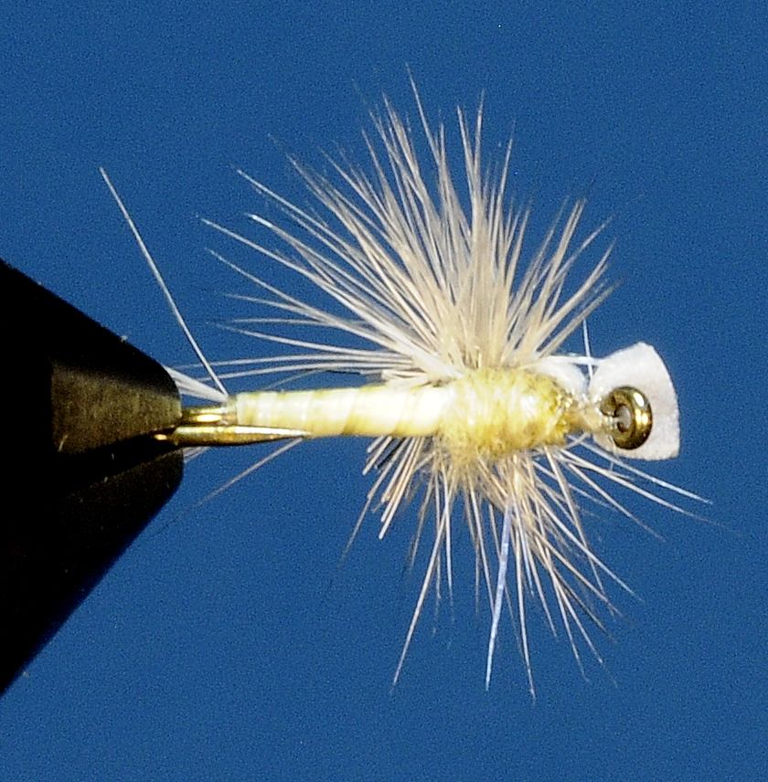 J21-11CWPH product image