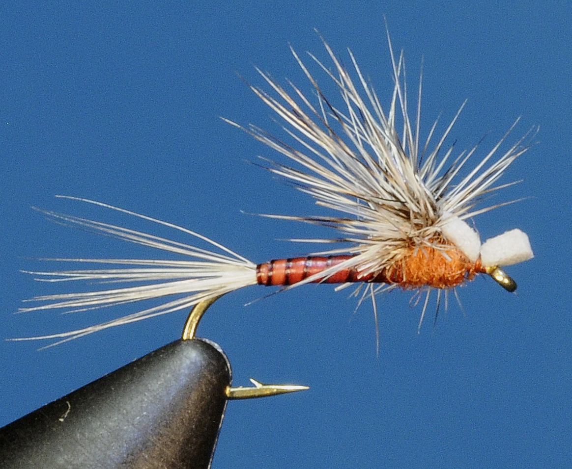 J21-11CWRH product image