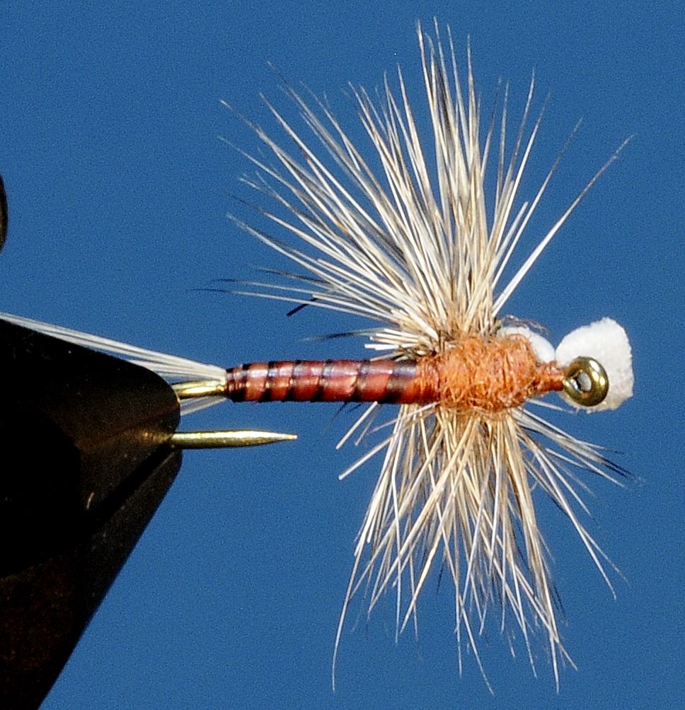 J21-11CWRH product image