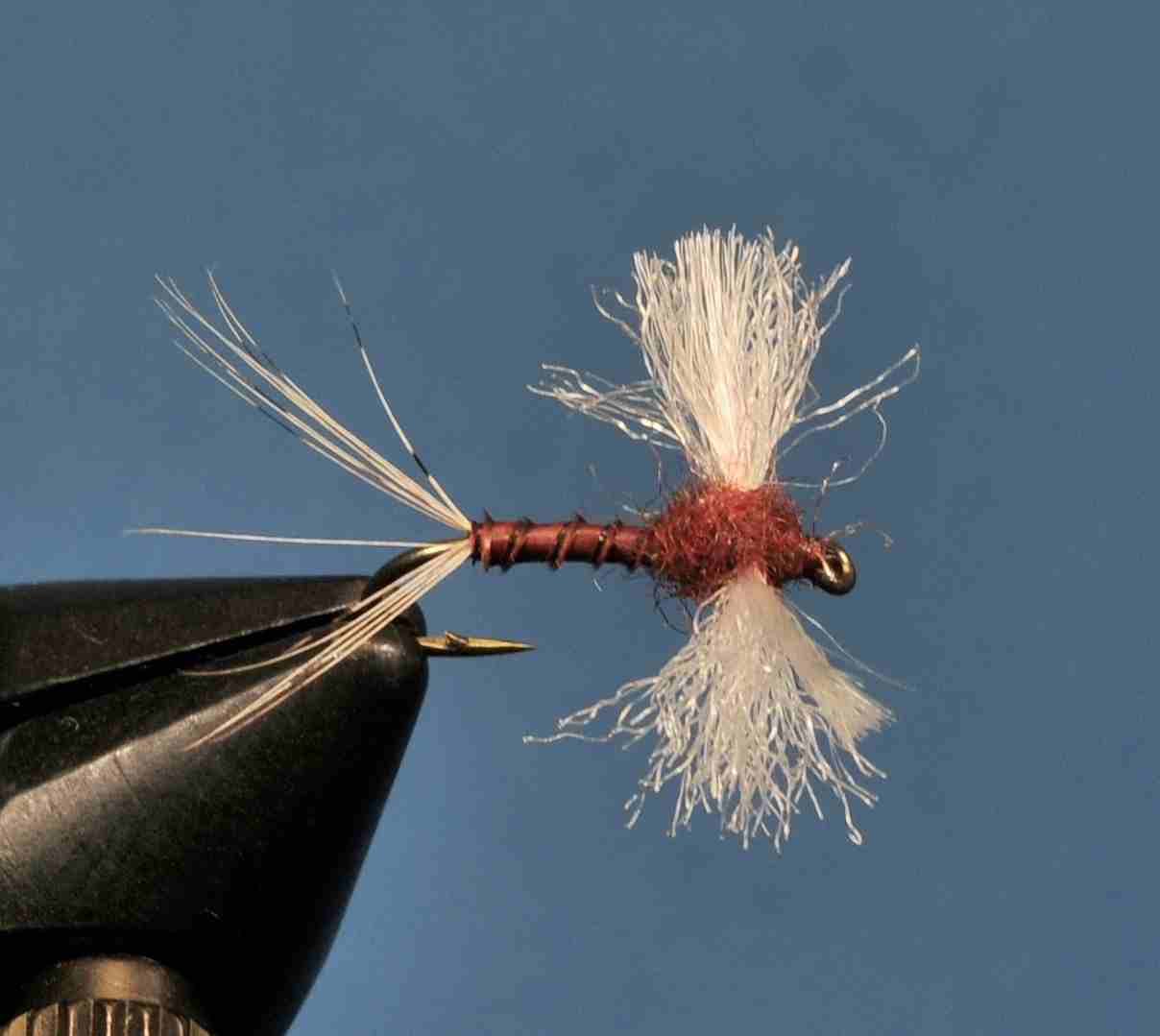 J21-11CWRS product image