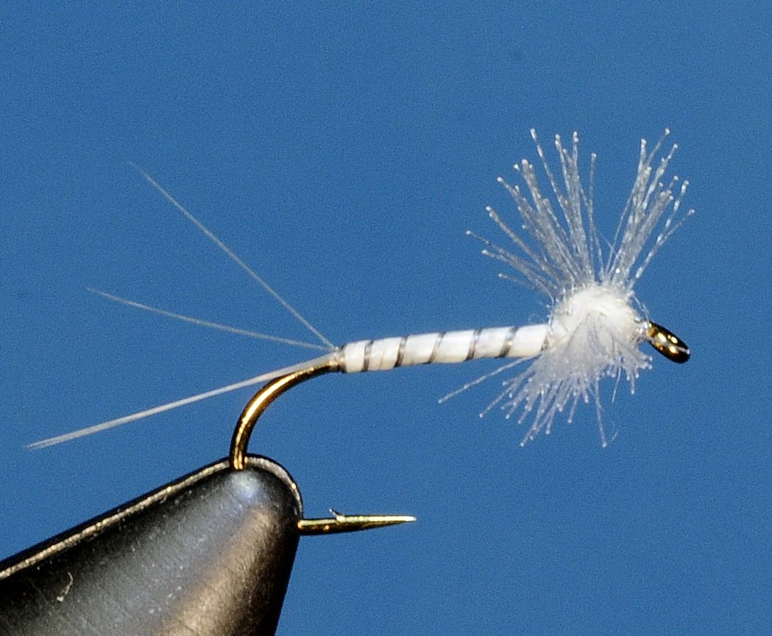 J21-11CWSC product image