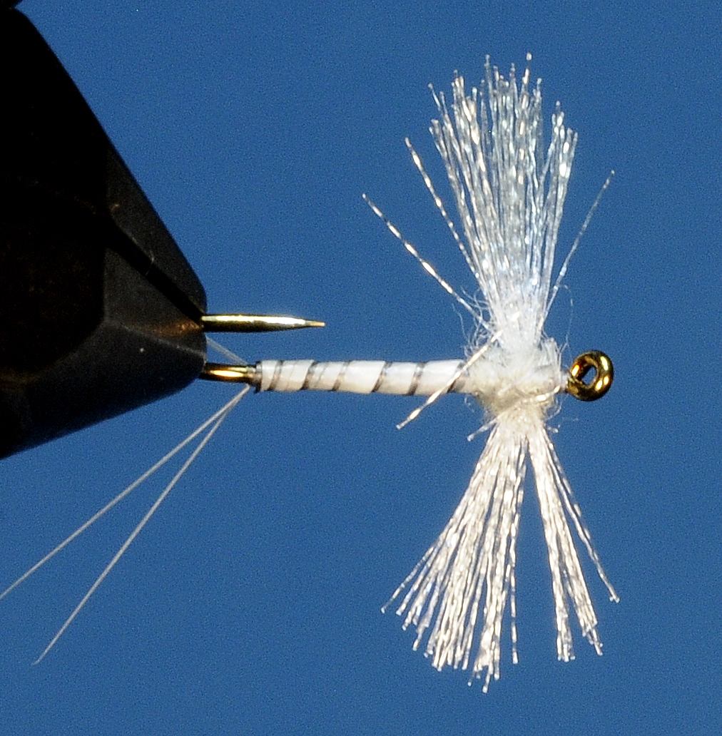 J21-11CWSC product image