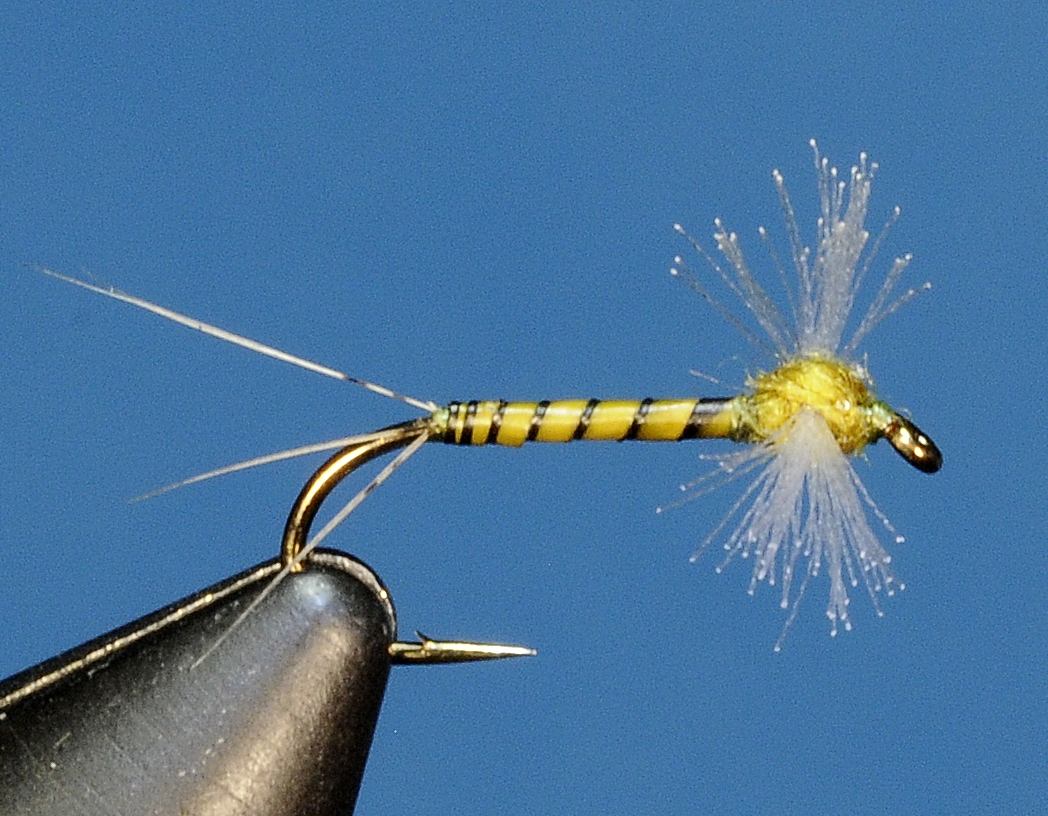 J21-11CWSO product image