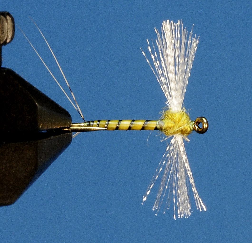 J21-11CWSO product image