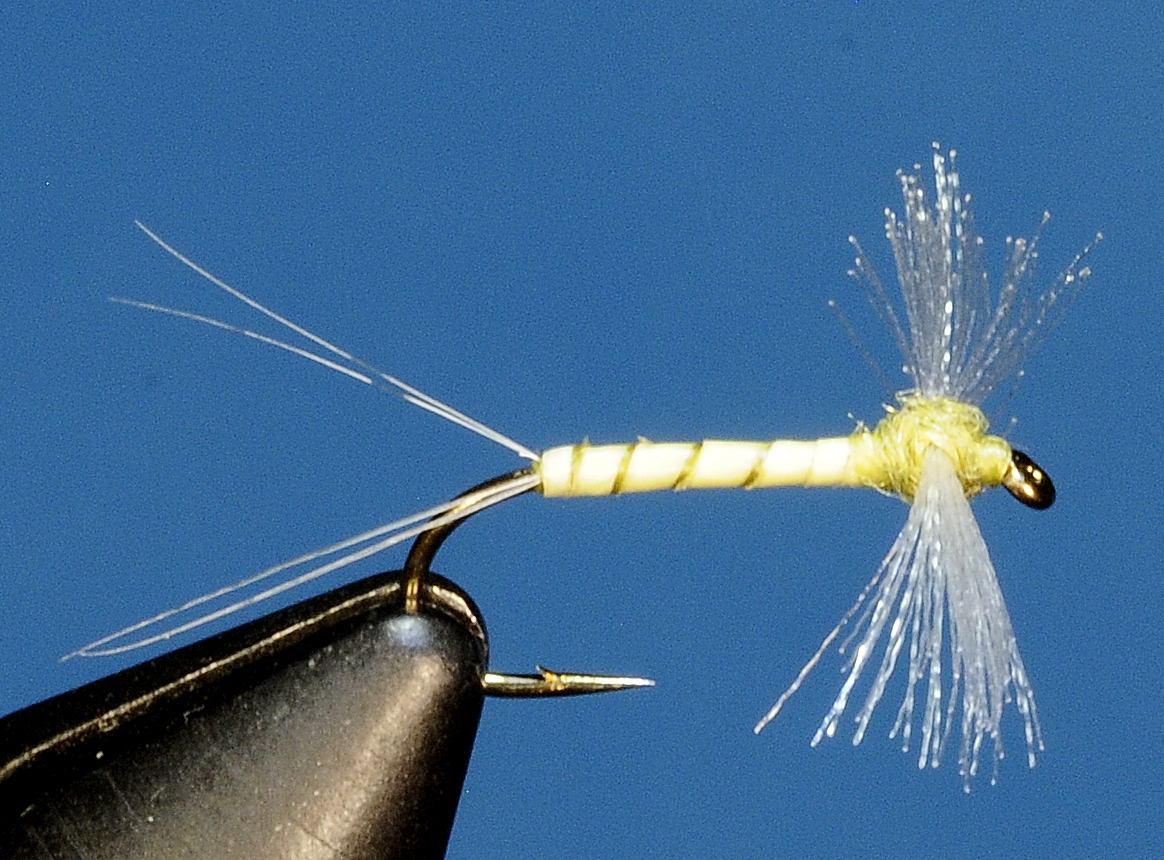 J21-11CWSP product image