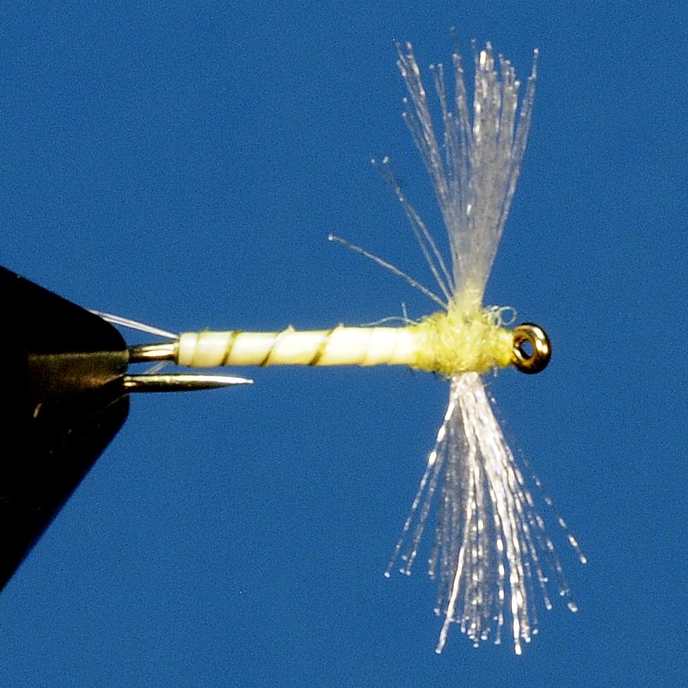 J21-11CWSP product image