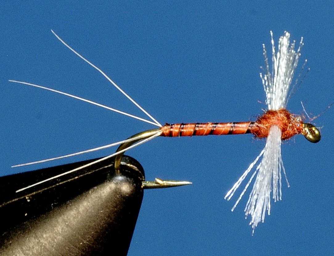 J21-11CWSR product image