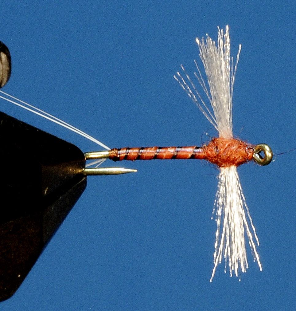 J21-11CWSR product image