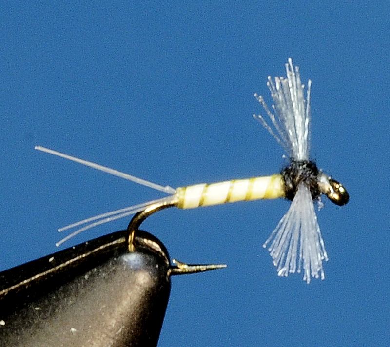 J21-11CWSS product image