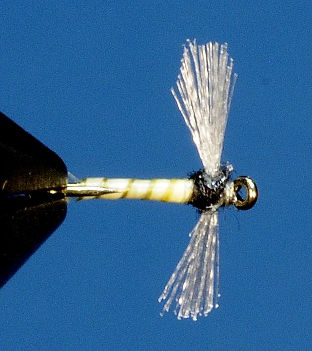 J21-11CWSS product image