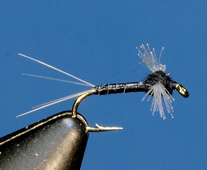 J21-11CWST product image