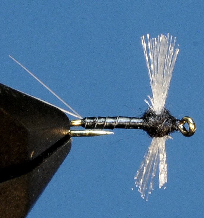 J21-11CWST product image