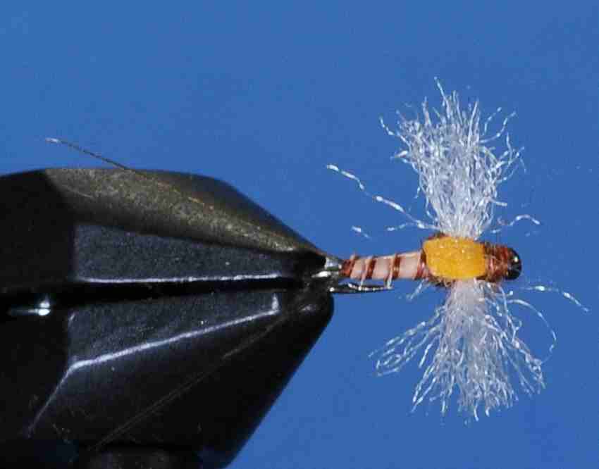 J21-11QLRS product image