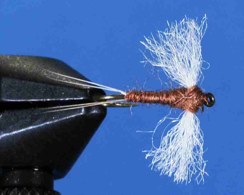 J21-11RSPW product image