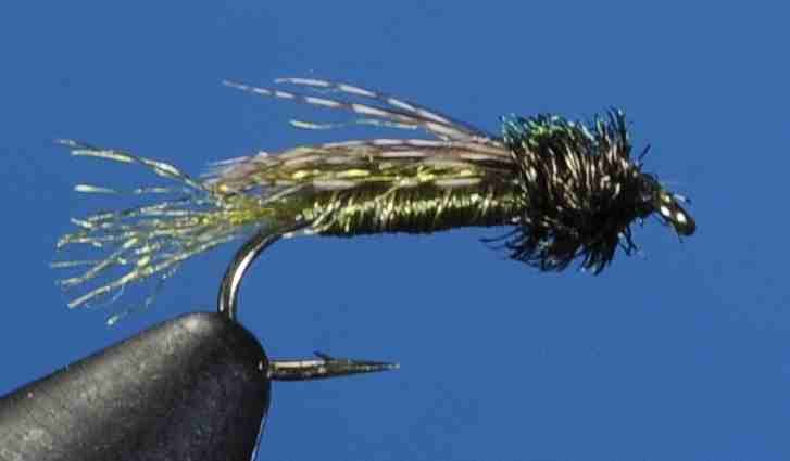 J21-13CEOL product image