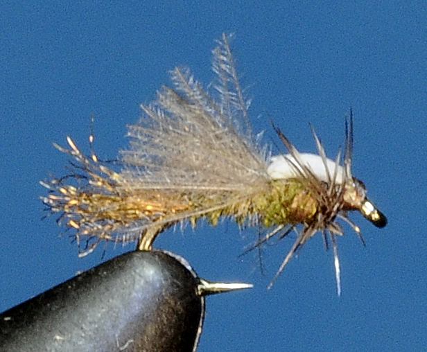 J21-13CWBF product image