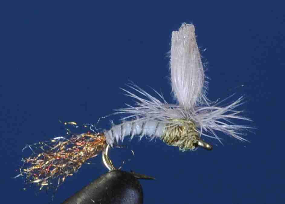 J21-13CWBW product image