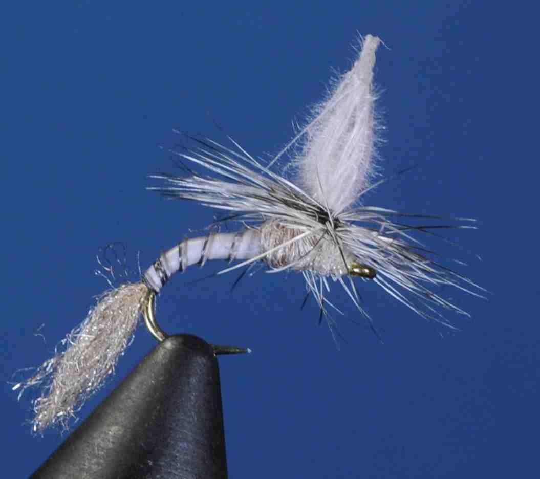 J21-13CWCB product image