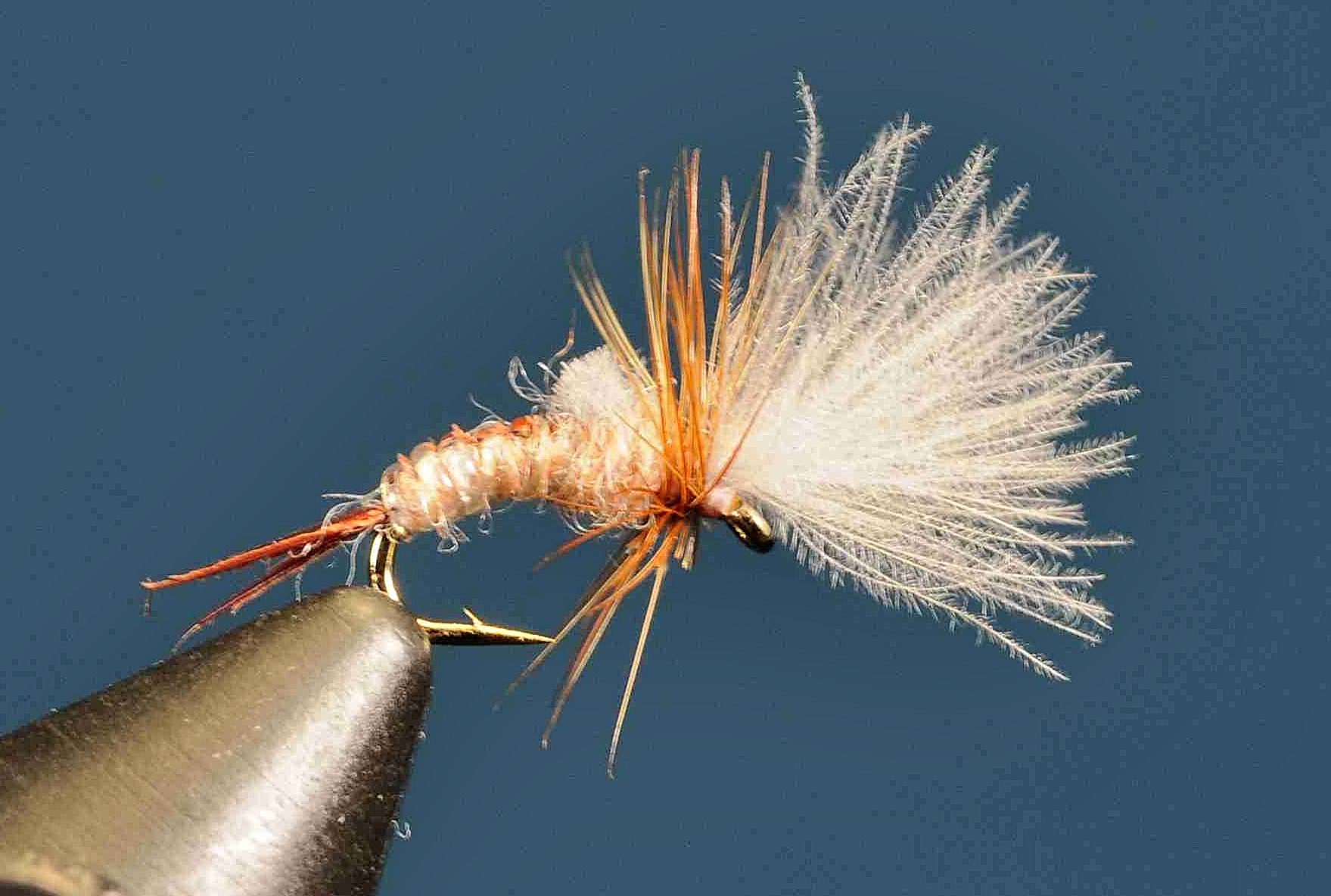 J21-13CWHK product image