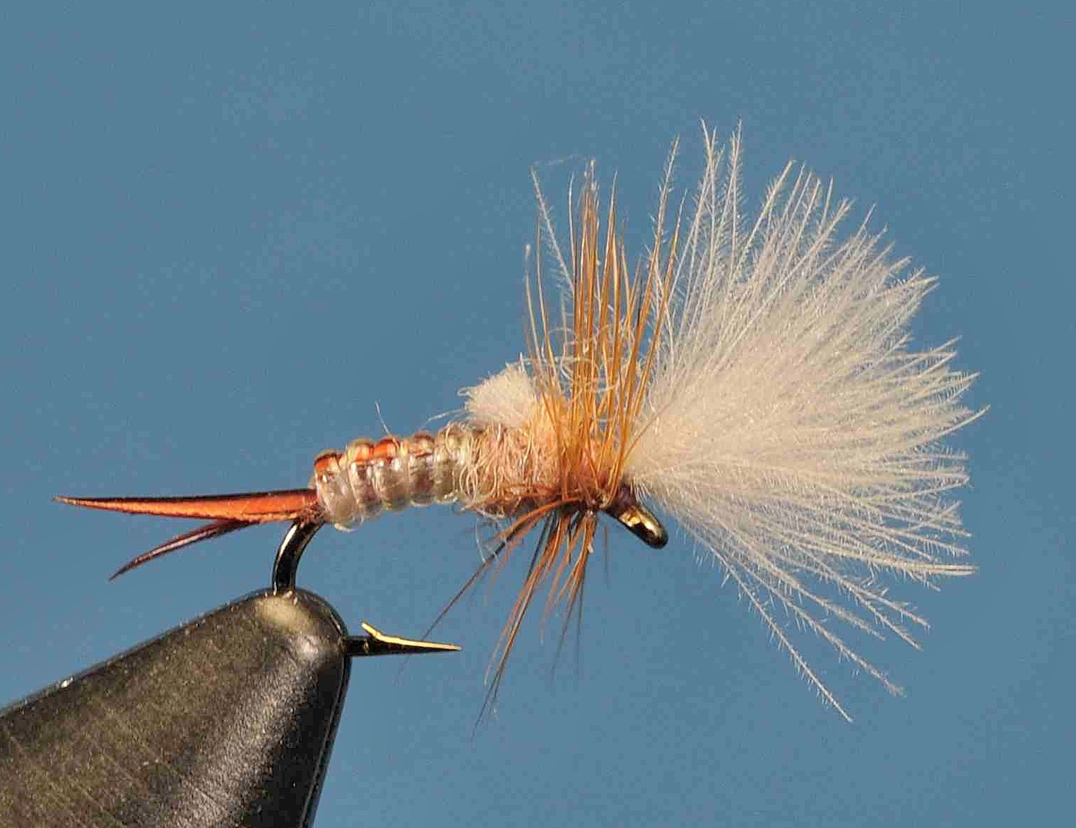 J21-13CWHO product image