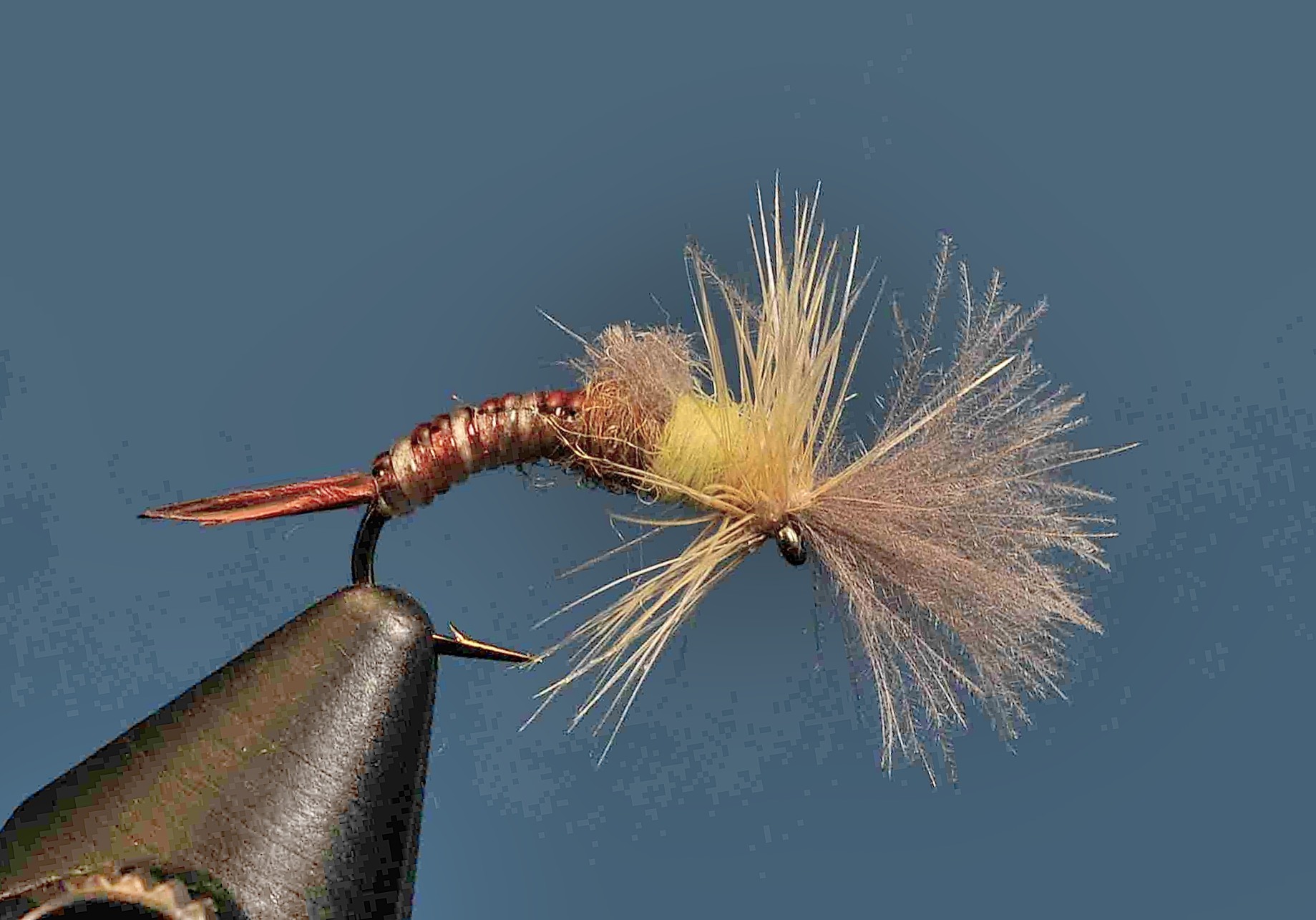 J21-13CWHP product image