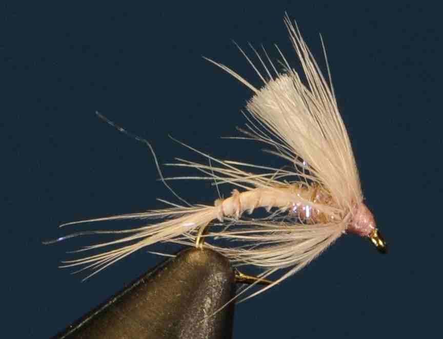 J21-13CWPC product image