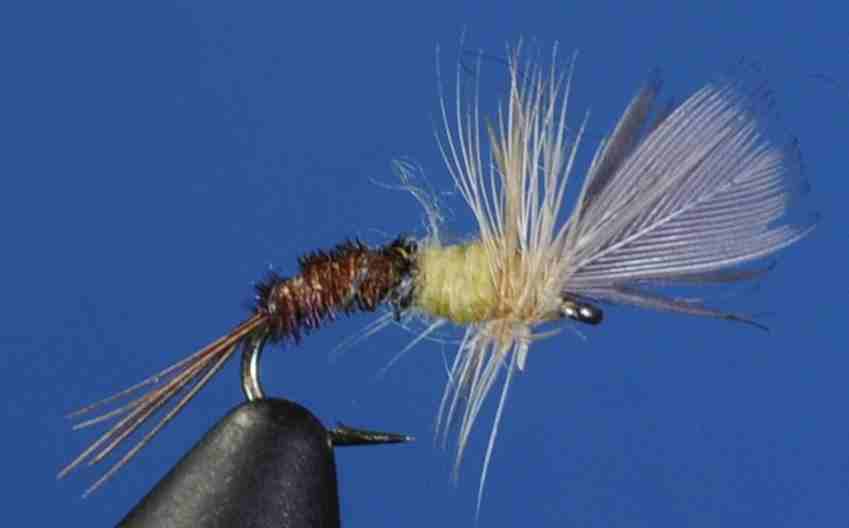 J21-13CWPE product image