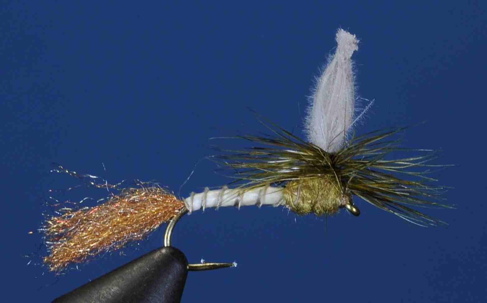 J21-13CWPG product image