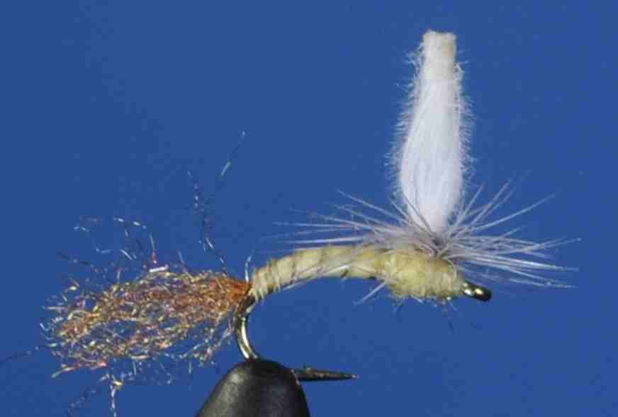 J21-13CWPP product image