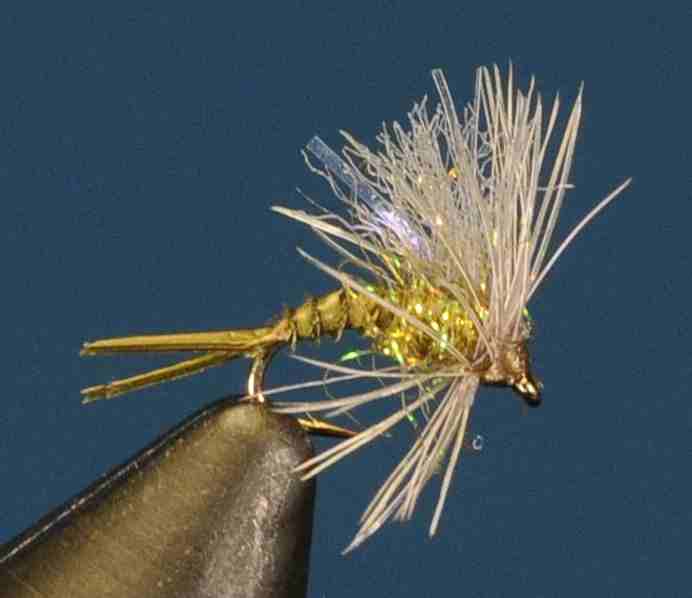 J21-13CWSB product image