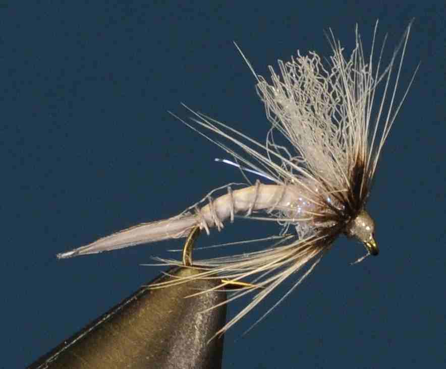 J21-13CWSC product image