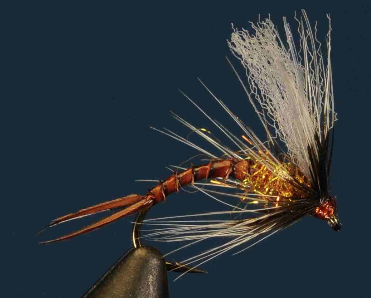 J21-13CWSD product image