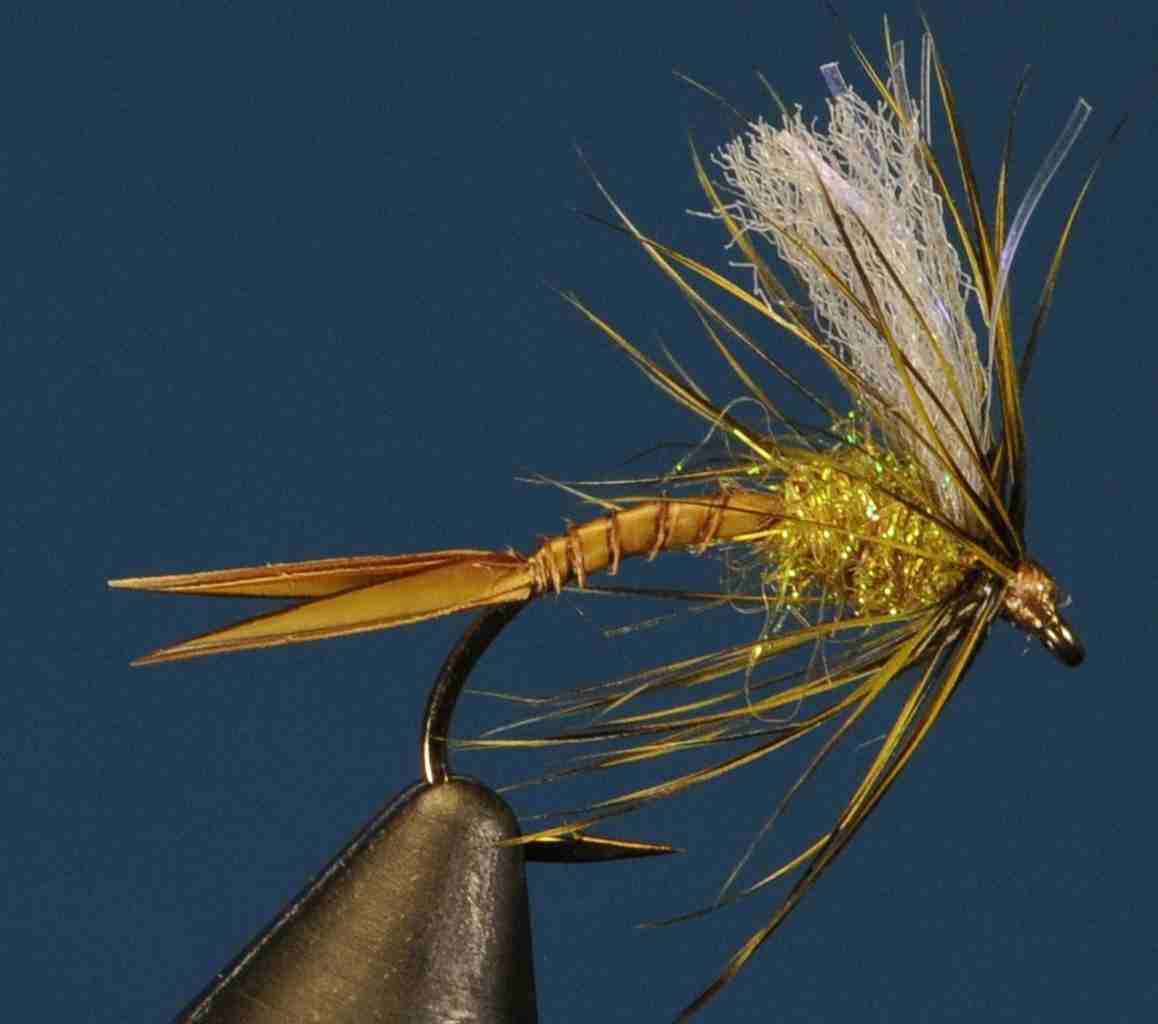 J21-13CWSG product image