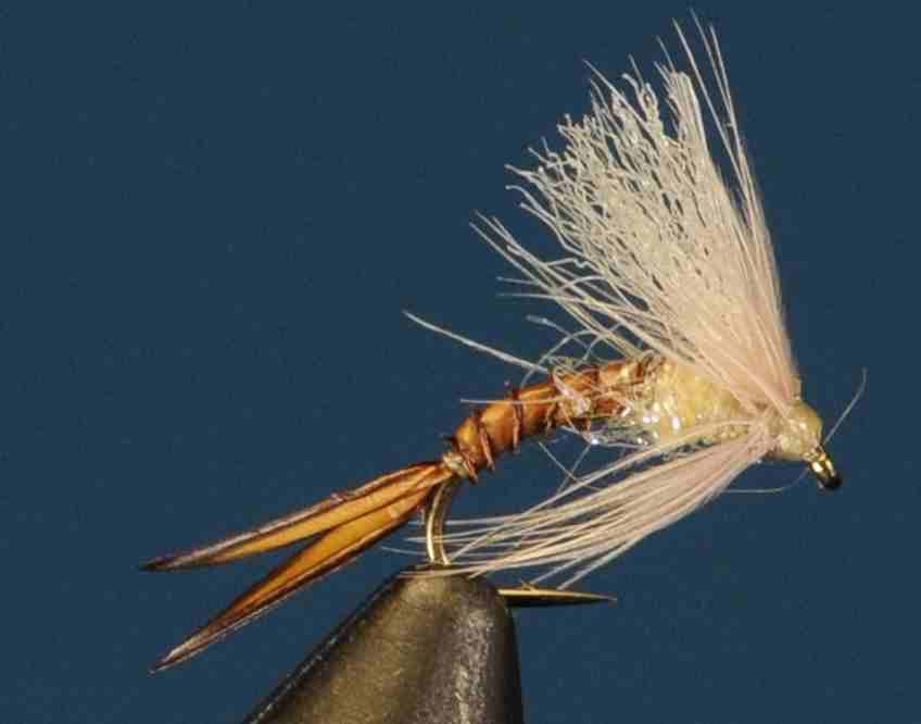 J21-13CWSP product image