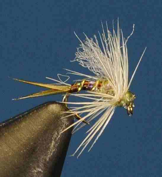 J21-13CWST product image