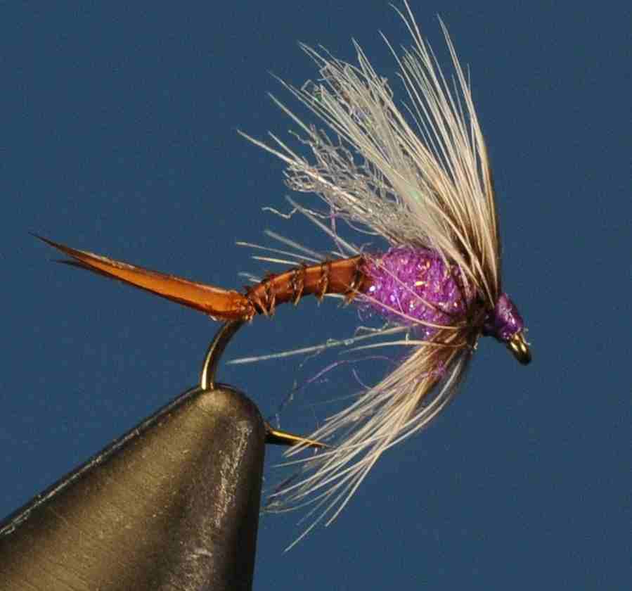 J21-13CWSU product image