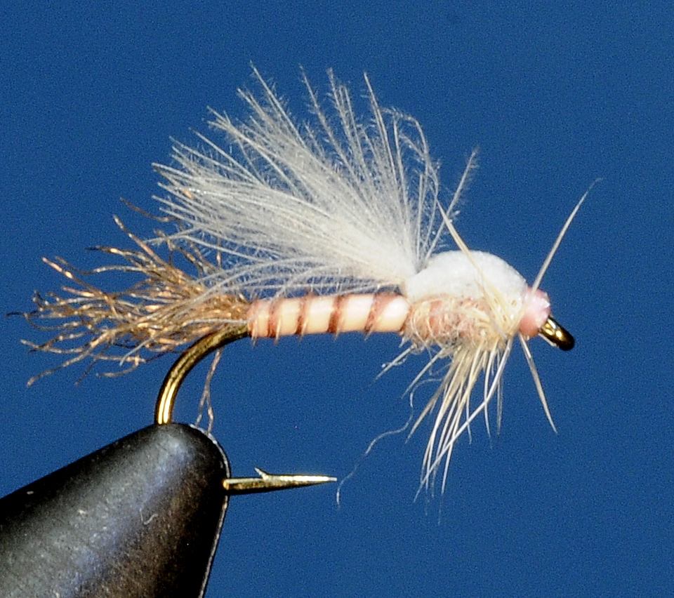 J21-13CWTK product image