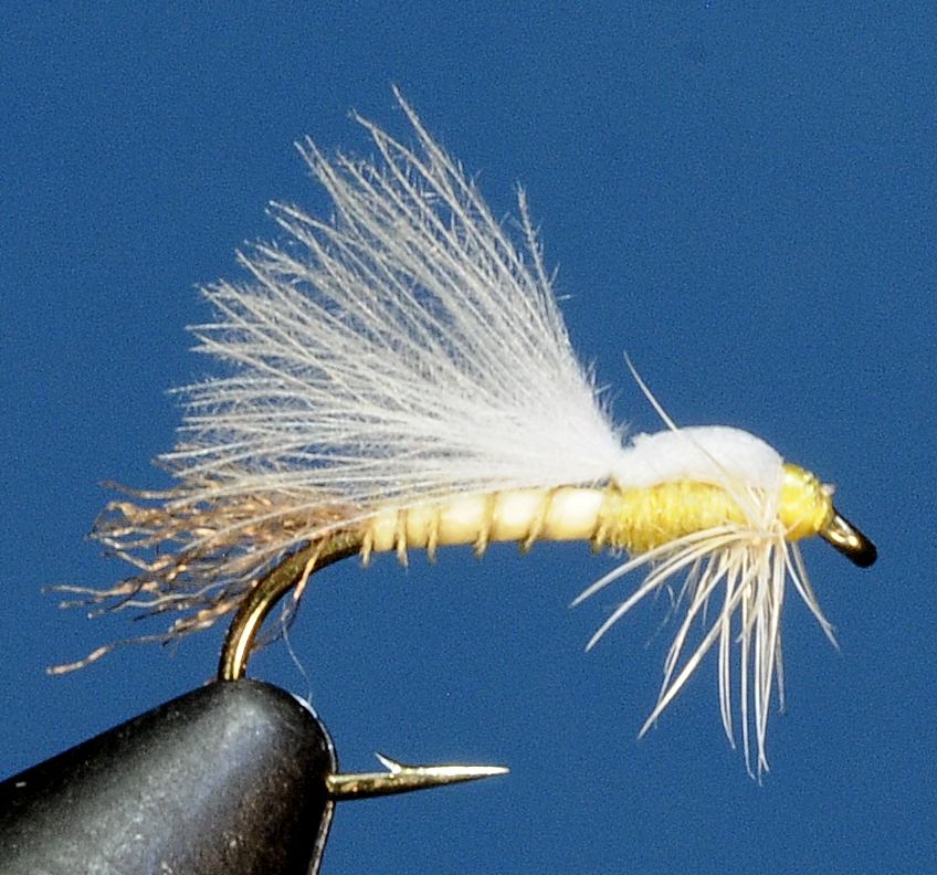 J21-13CWTP product image