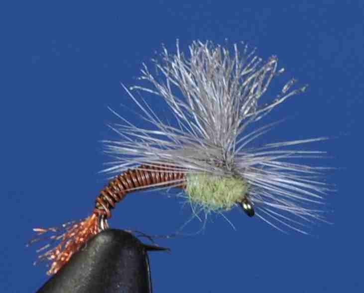 J21-13KBWO product image