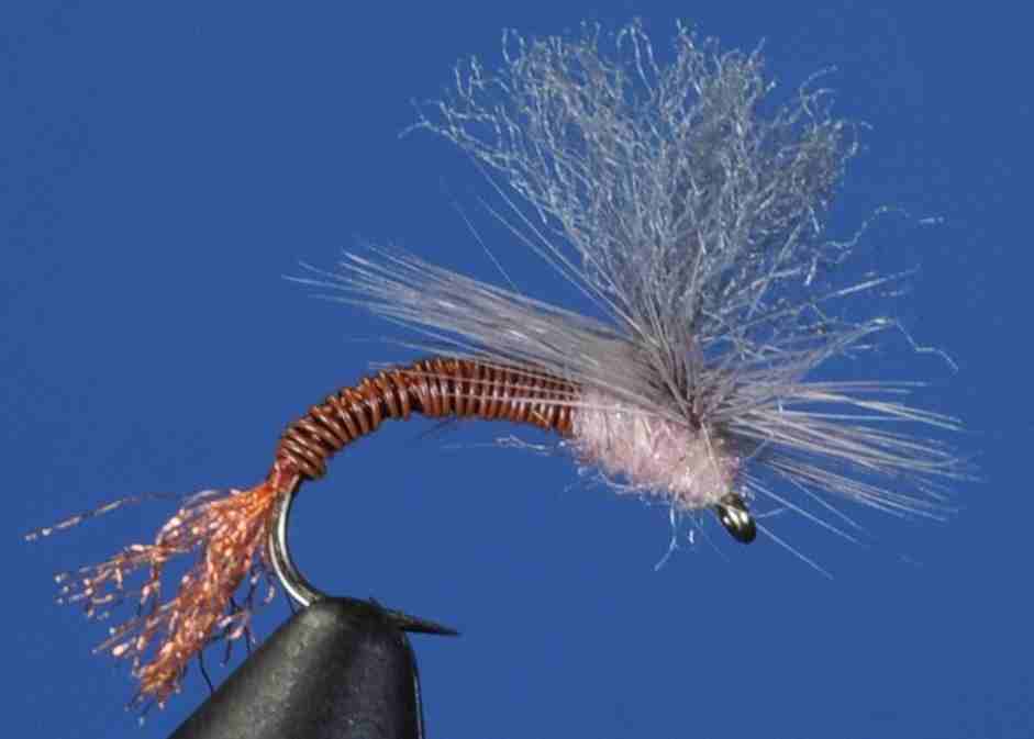 J21-13KHND product image