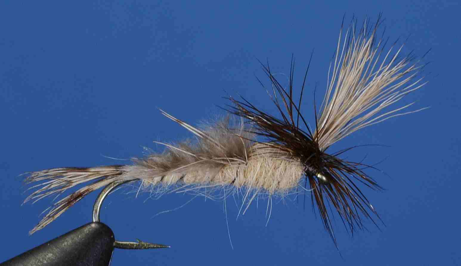 J21-13PEBD product image