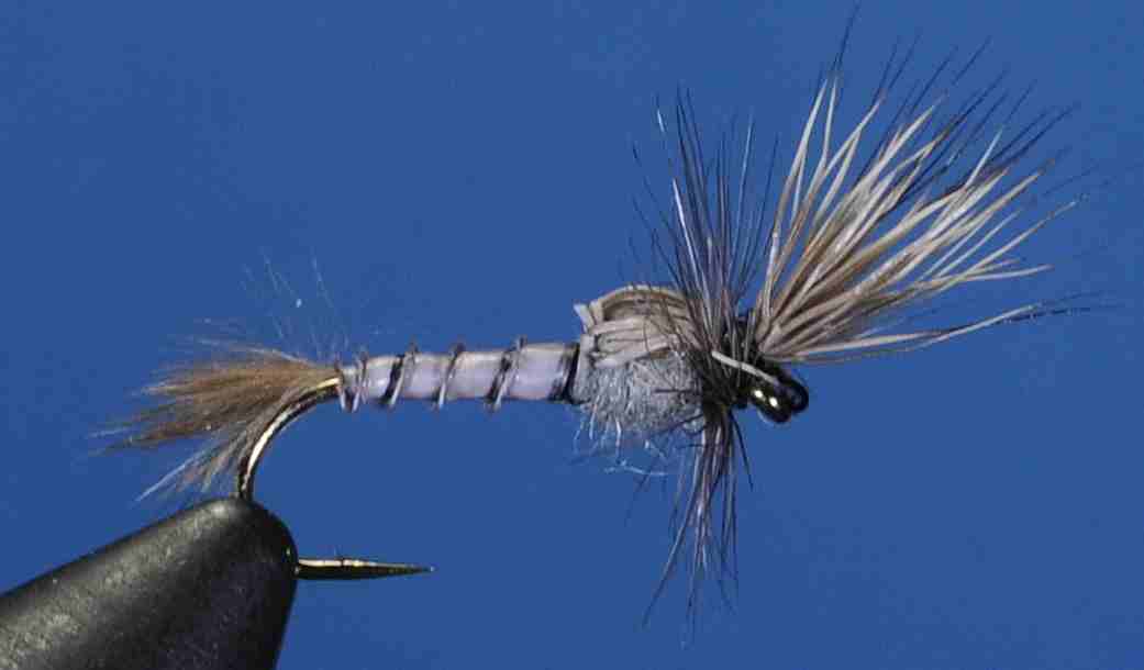 J21-13PEDN product image