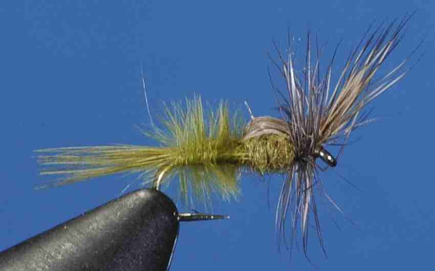 J21-13PEOL product image