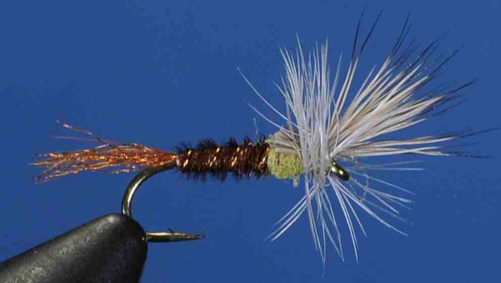 J21-13PEPM product image