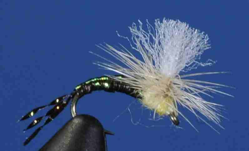 J21-13PMDE product image