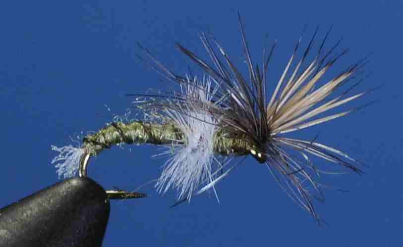 J21-13PMOL product image