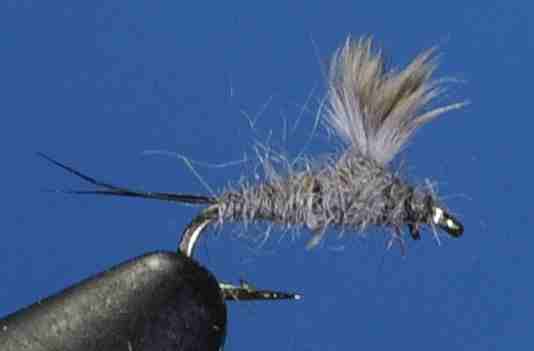 J21-13RSGY product image