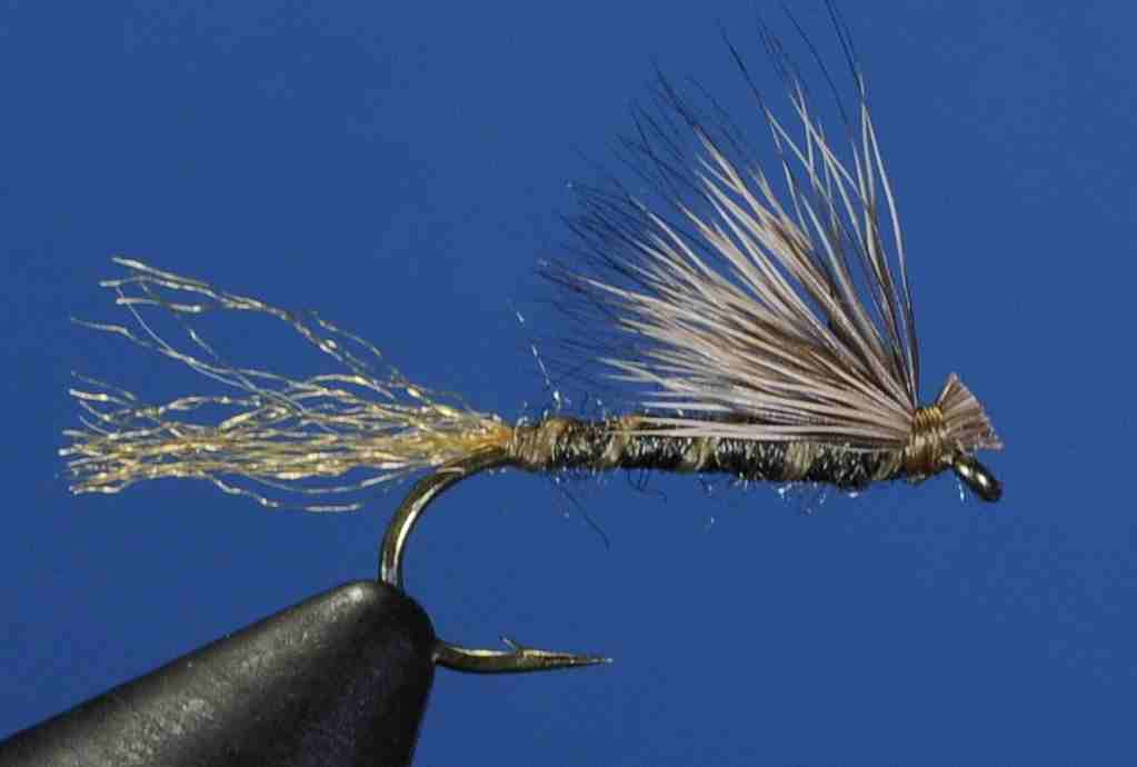 J21-13SCOL product image